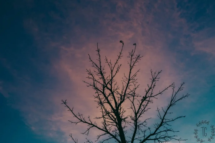 marfa - screen - watermark-177.jpg