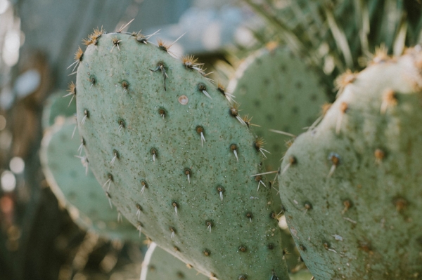 marfa - screen -120.jpg