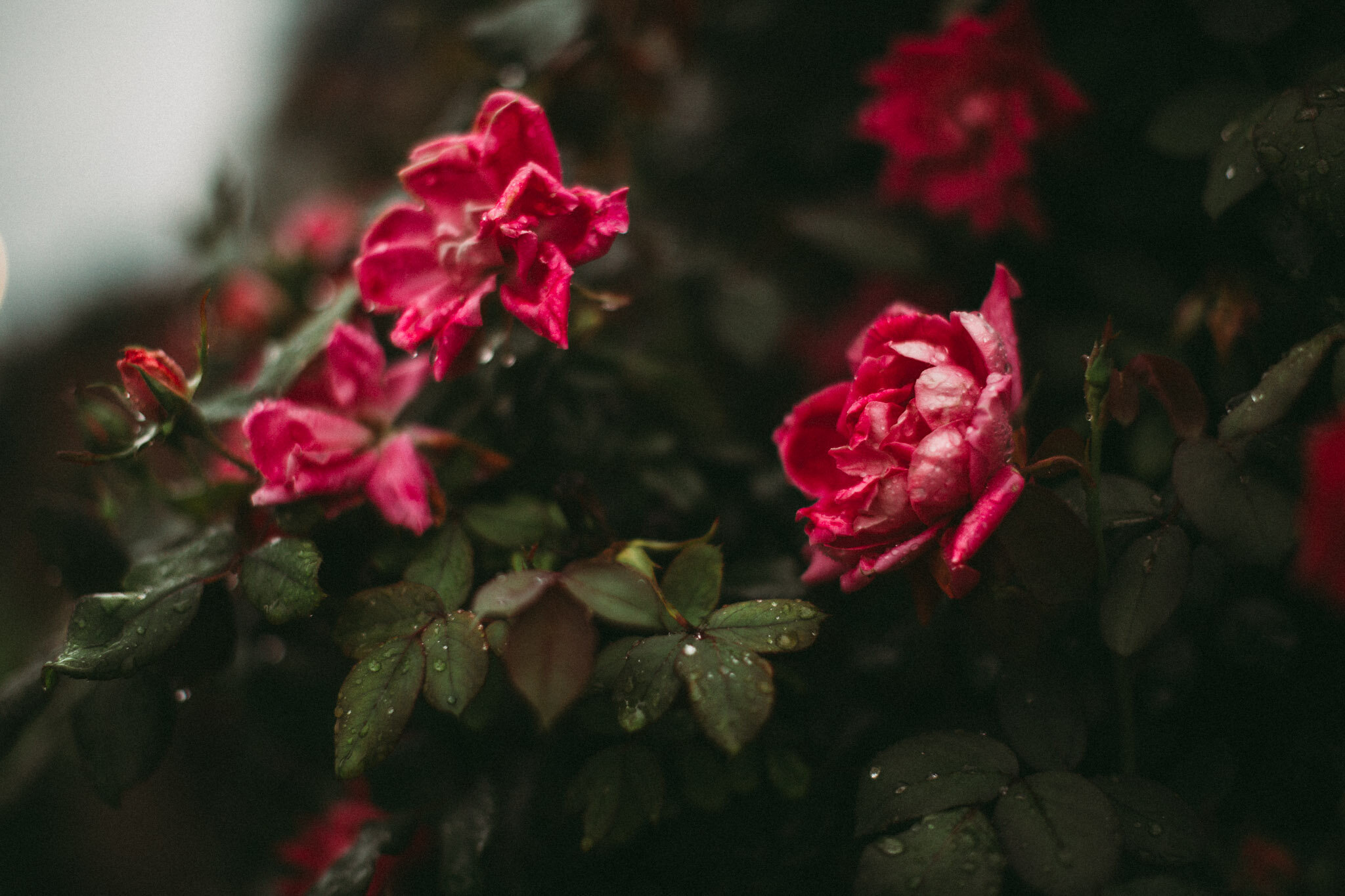 april-photos-4 copy.jpg