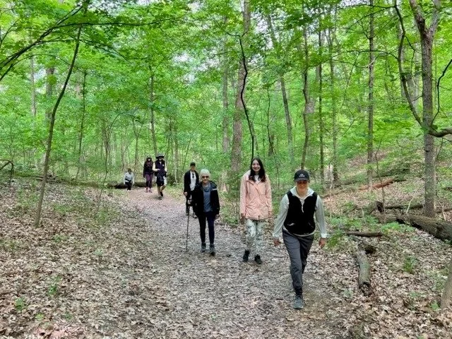 mindful hiking1.jpg