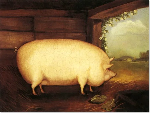 english-naive-a-large-white-pig.jpg