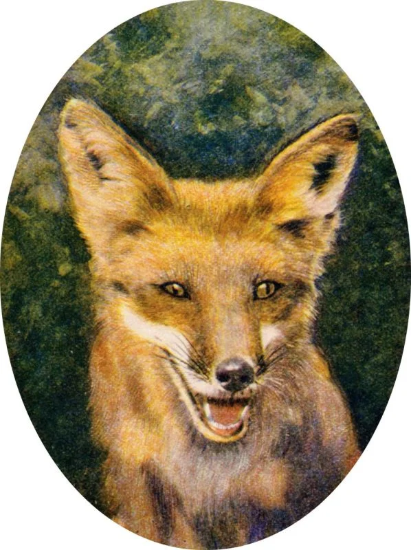 illus-001-800.jpg