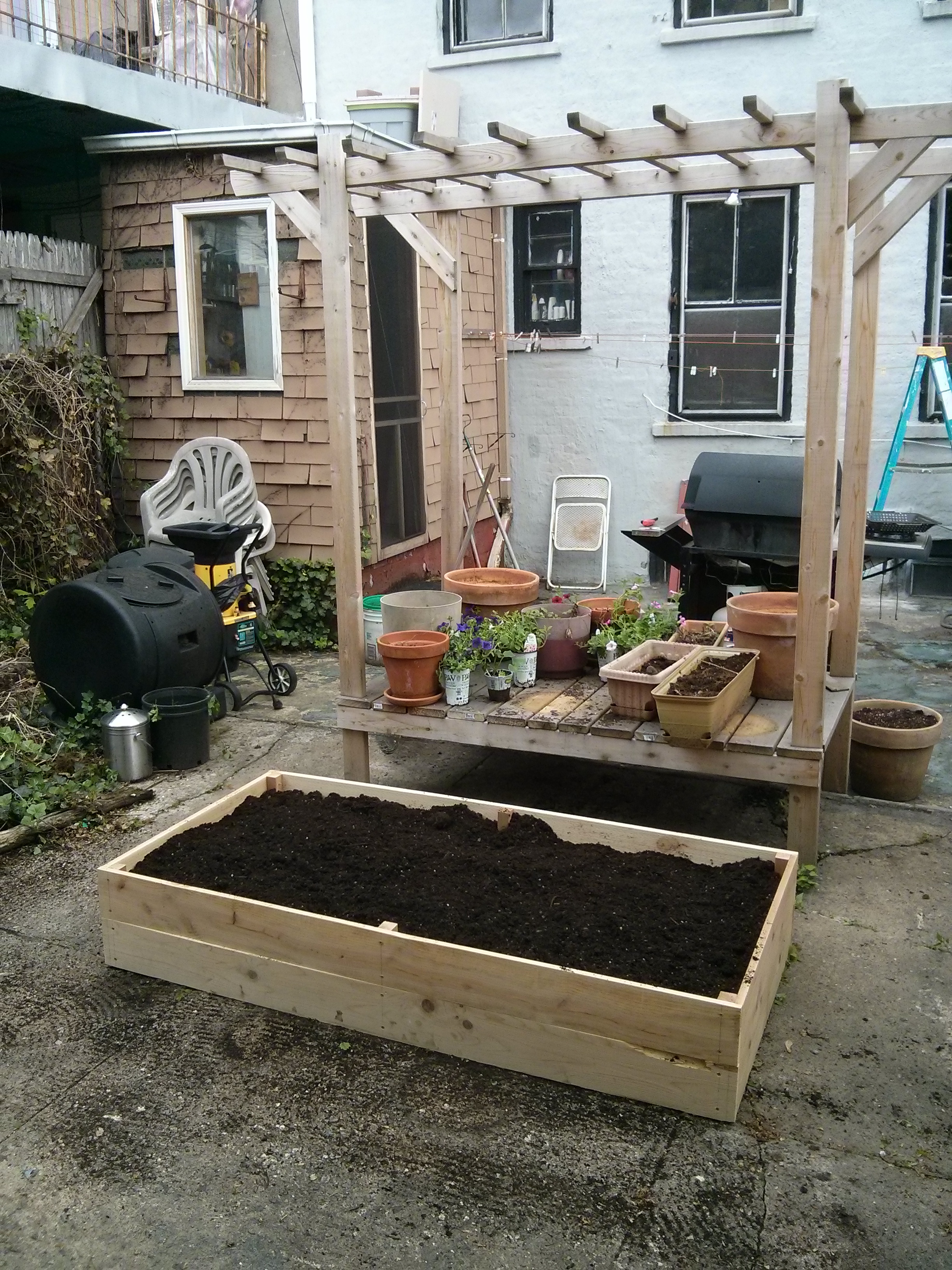 New home for the magic beans