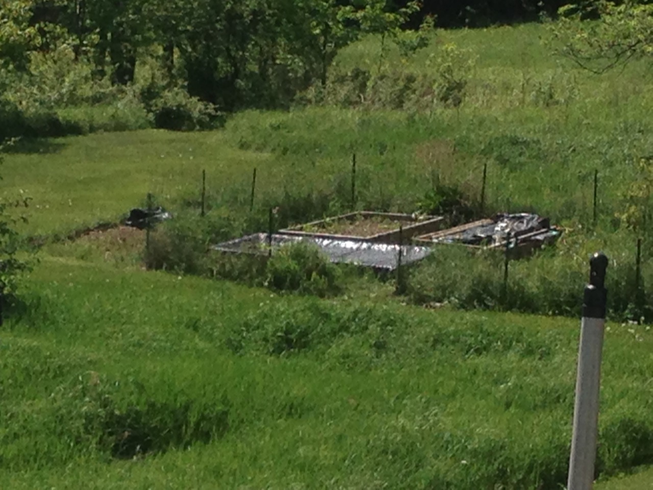 Looking towards the garden from a distance