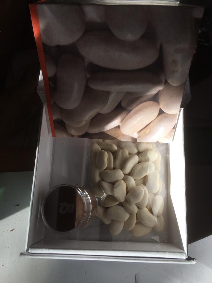 Beans arrived in Maine!