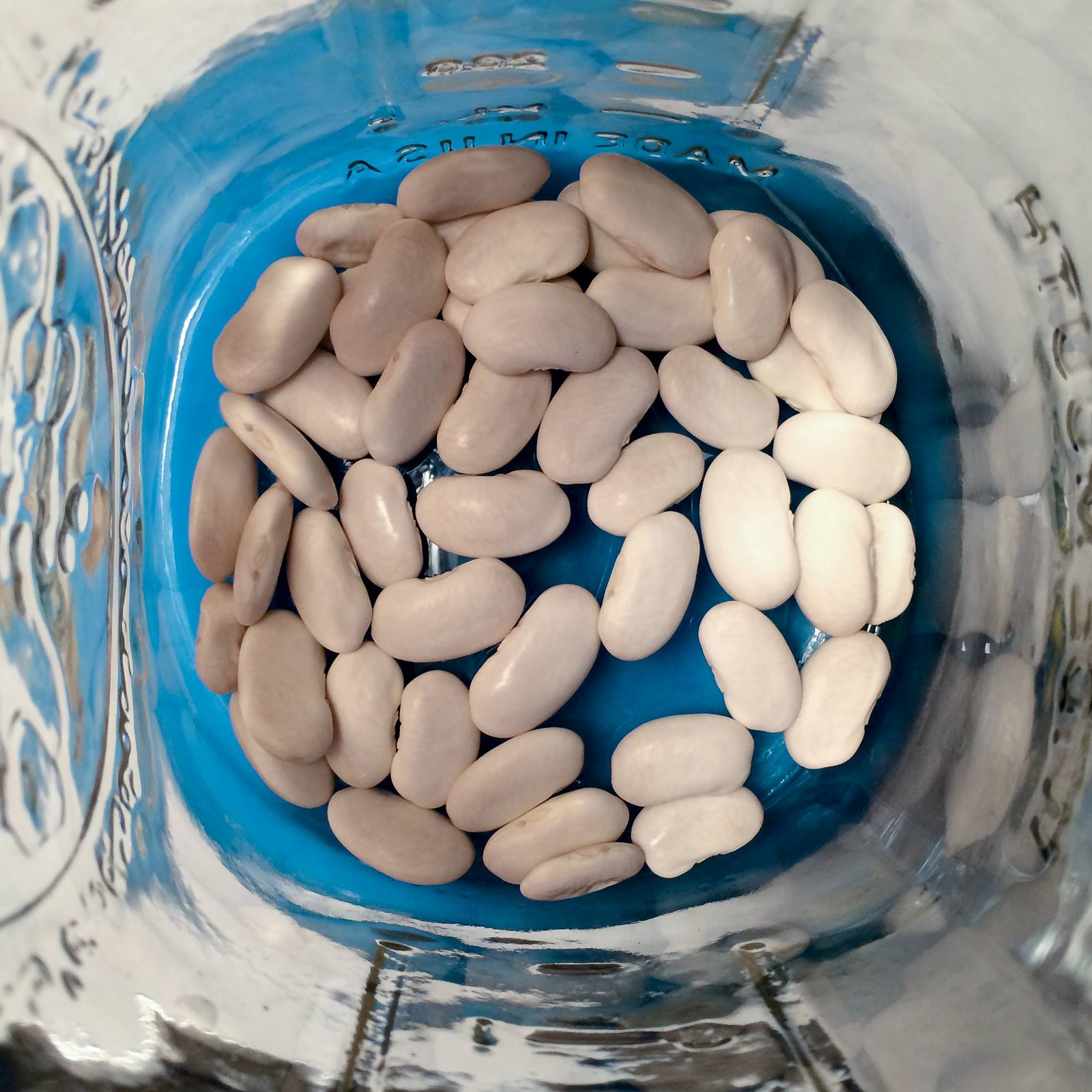 Some beans, October 2, 2015, Brooklyn NY.