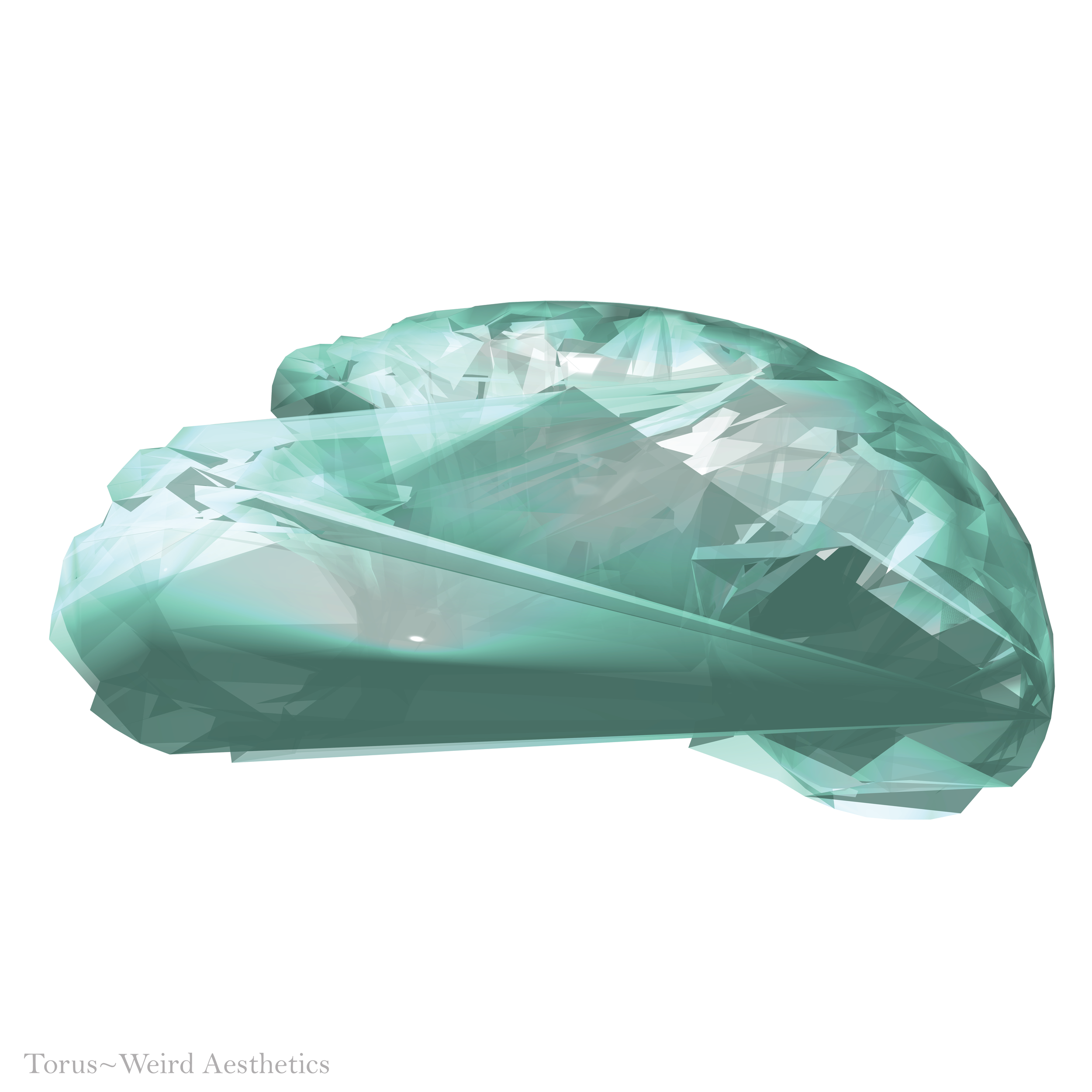 Torus Overall Final.png