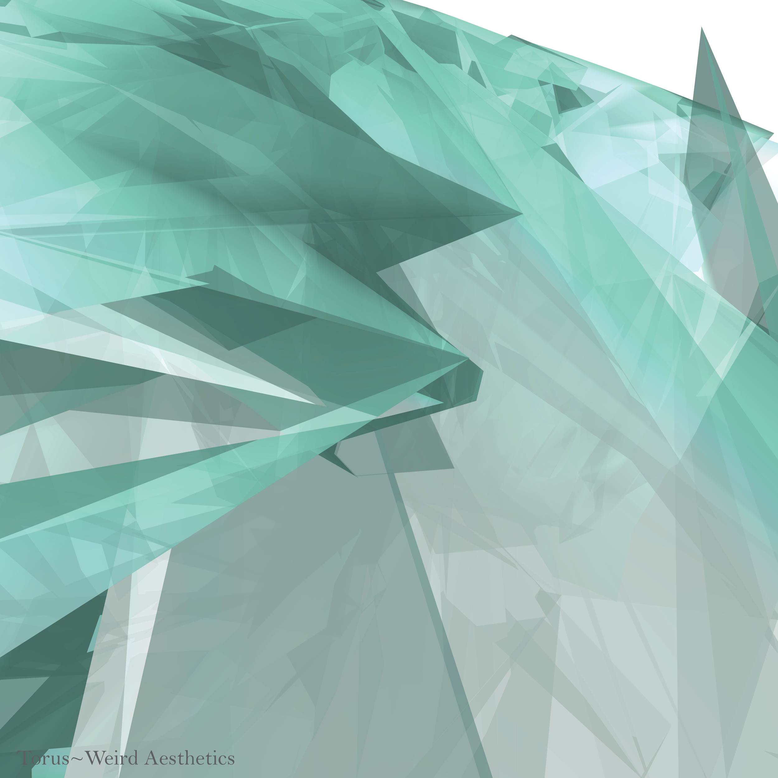 Torus Close-Up Final.png