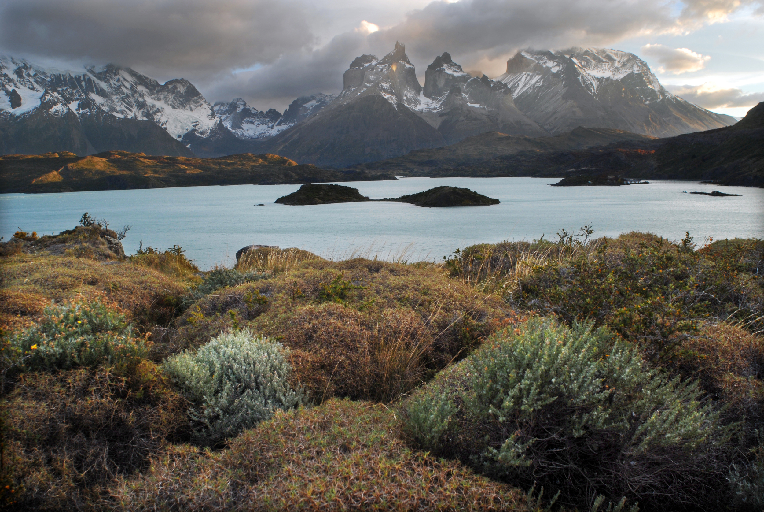 Macizo del Paine desde el lago Pehoe-8632.jpg