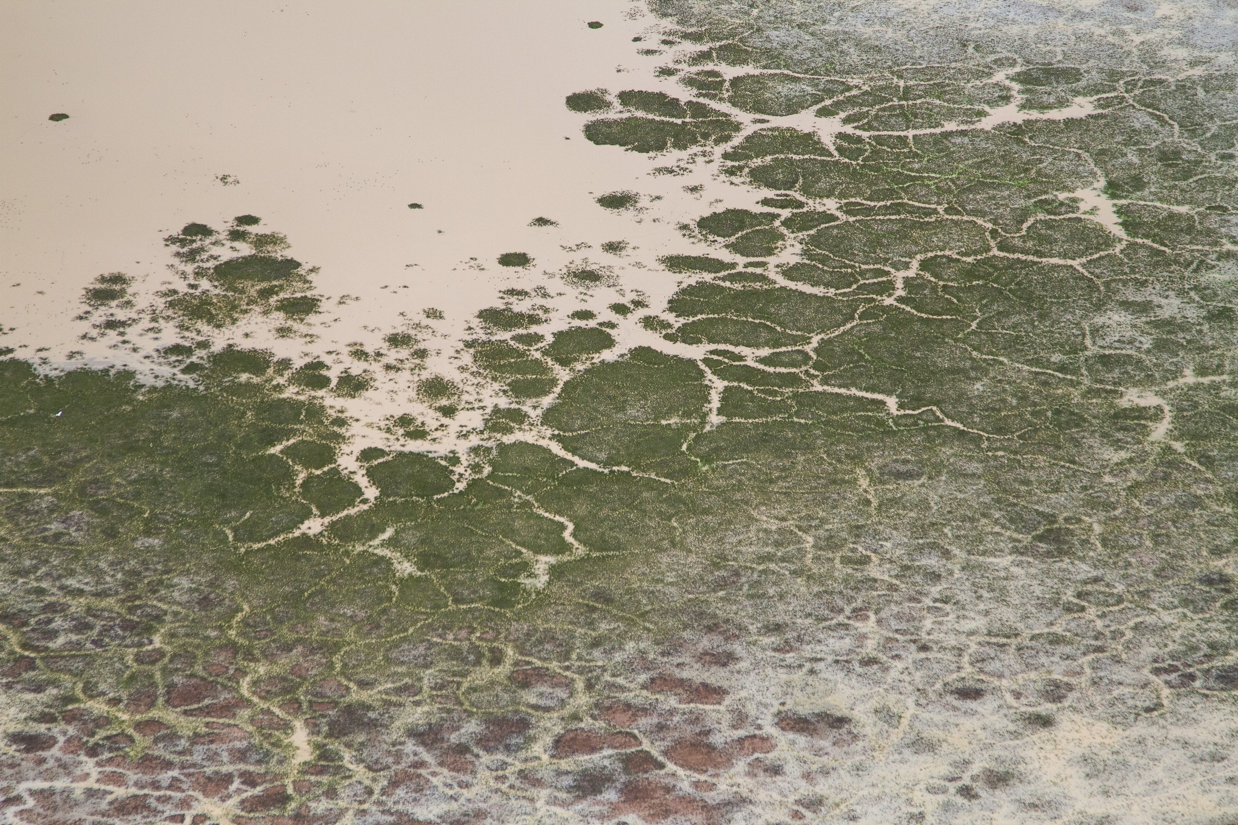 MDCKA-Laguna Sayula_Jalisco-2137.JPG