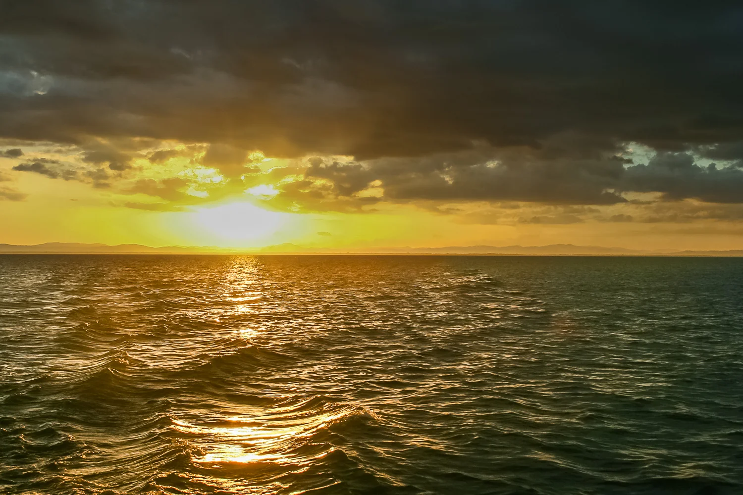 dkatz-landscape-final-1500px_005.jpg