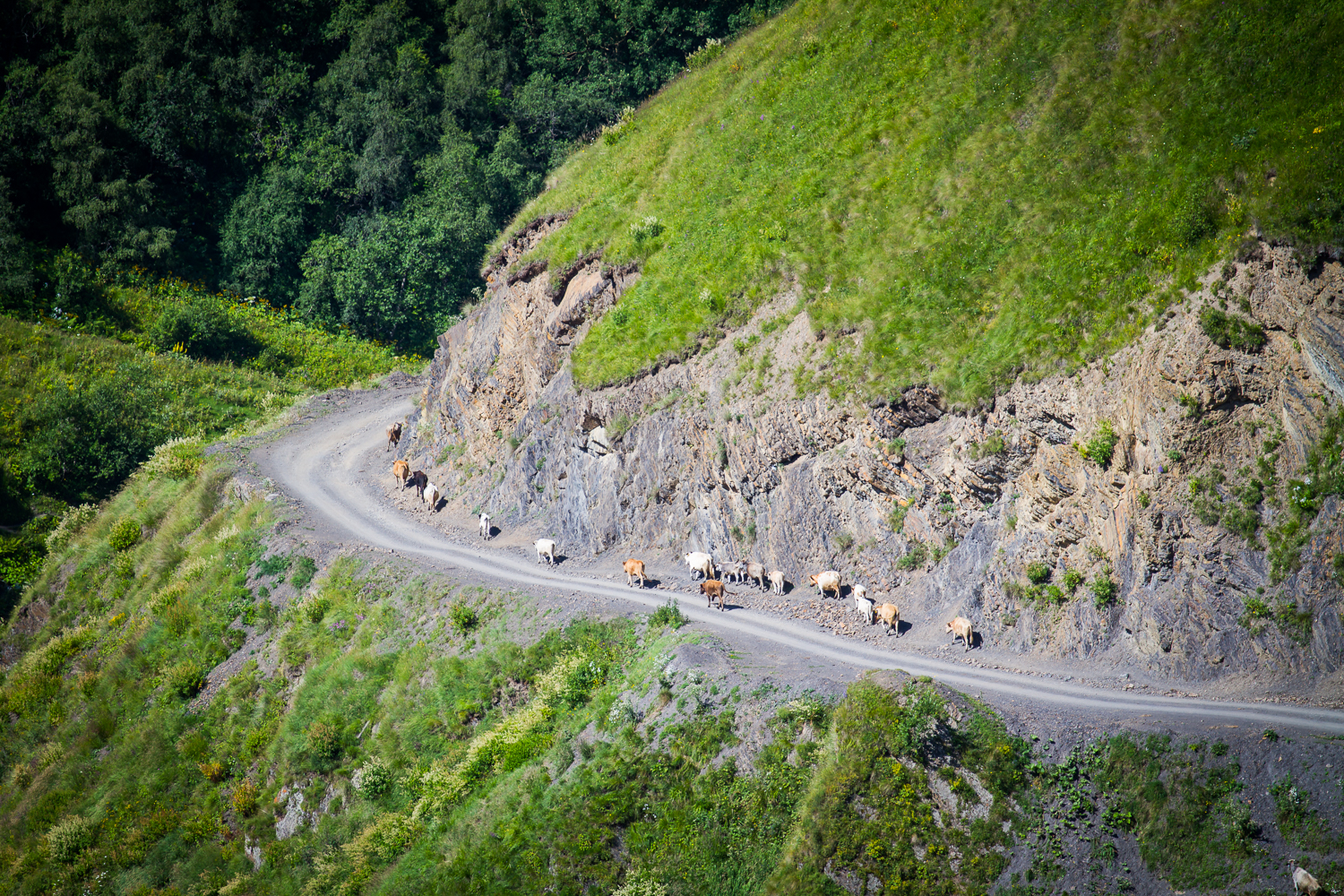 the-road-to-shatili-mountainsmith-blog-9.jpg
