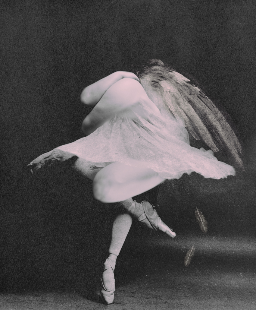 NPS_DG_dps_dancerindark_01_leftpg.jpg