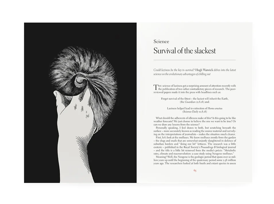 comp spreads idler 63 04.jpg