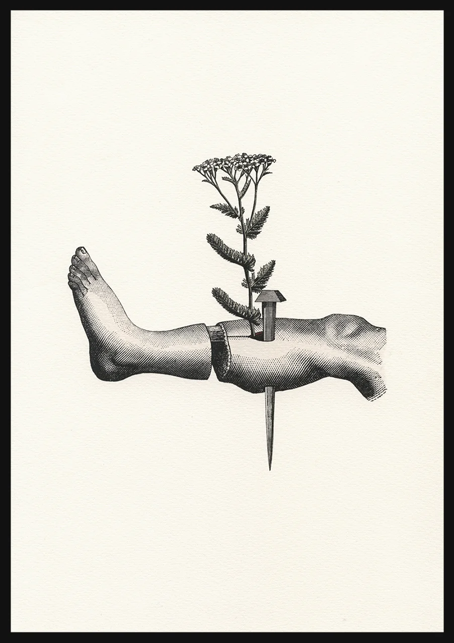 Worts yarrow Alice smith.jpg