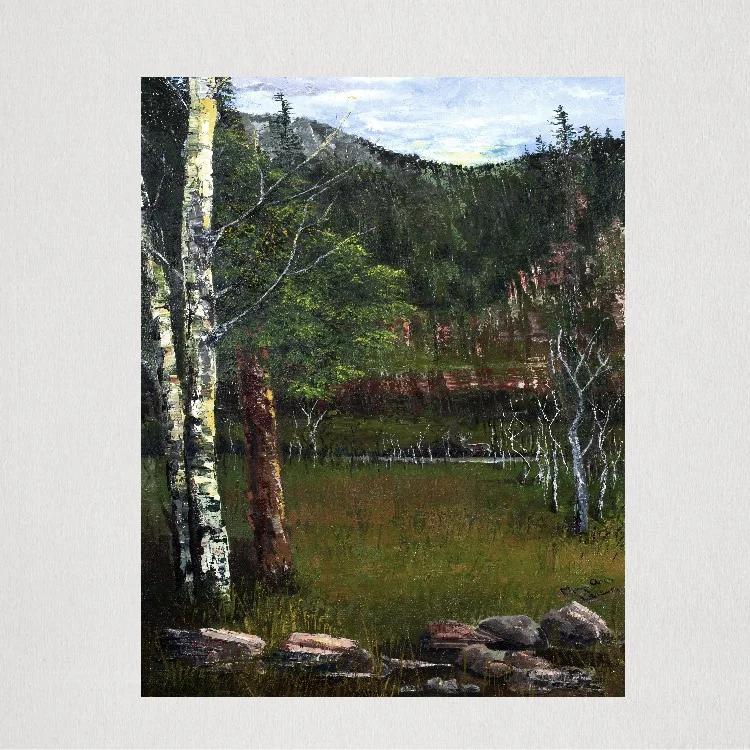 Sunday Morning Frost in the Black Hills