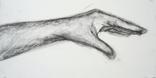 hand charcoal on paper 18x8"