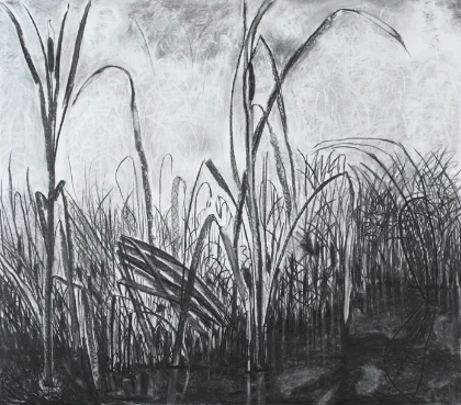Vernal Pool, intersection of water and grasses, 42x40" charcoal, conte crayon, pastel, drawn en plein air