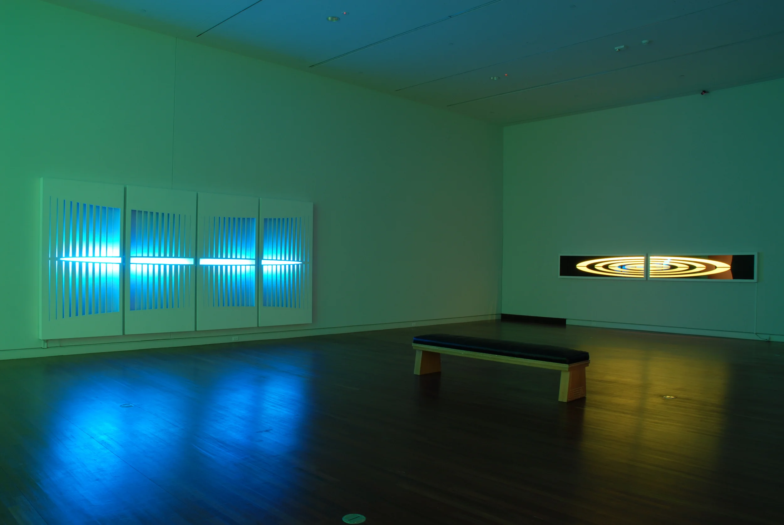  Photo by Blake Milteer Colorado Springs Fine Arts Center Continuance Exhibition 2014 