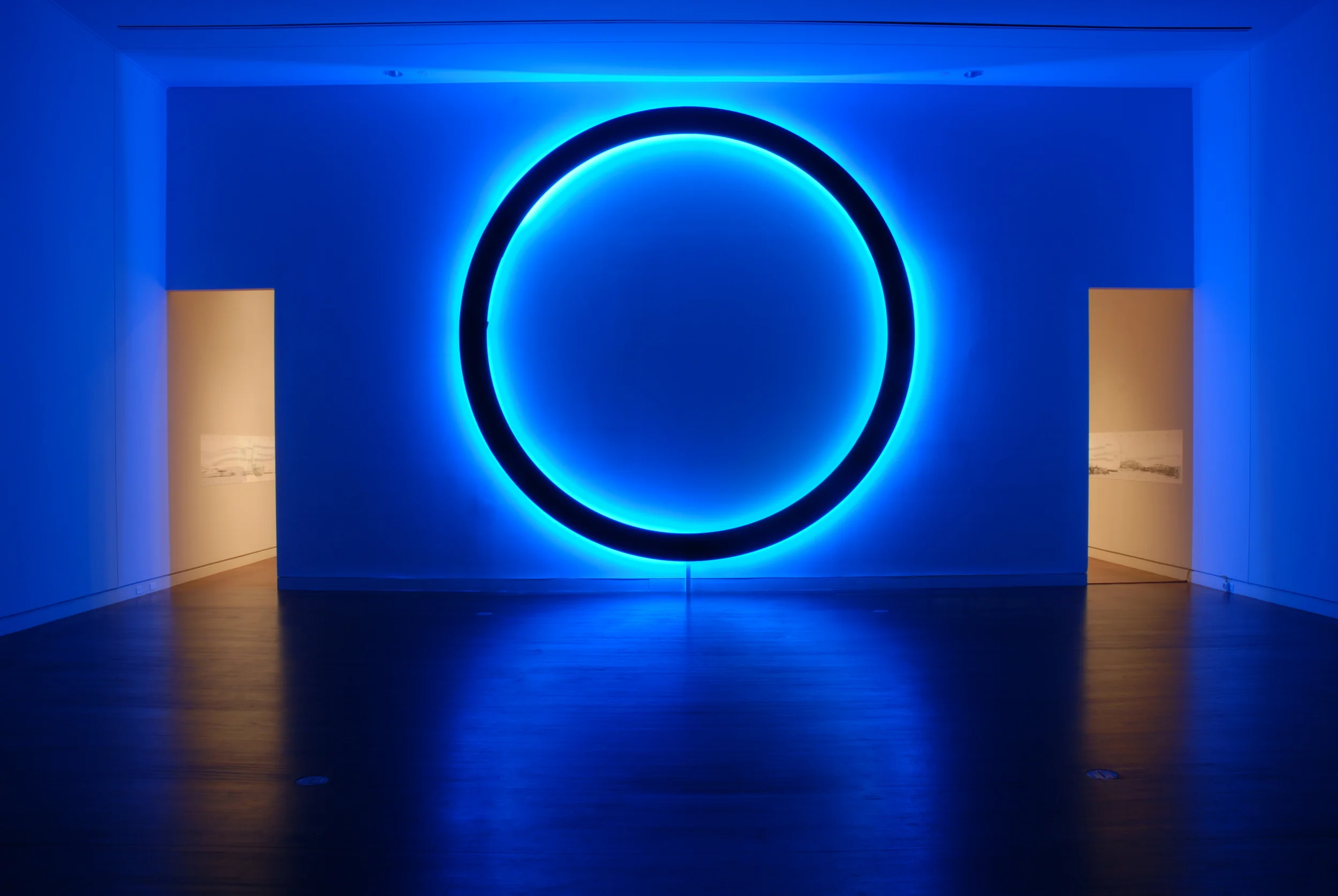  Photo by Blake Milteer&nbsp;@ Colorado Springs Fine Arts Center 2014.&nbsp; 