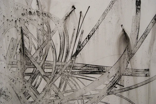 Heidi Jung: Black and White