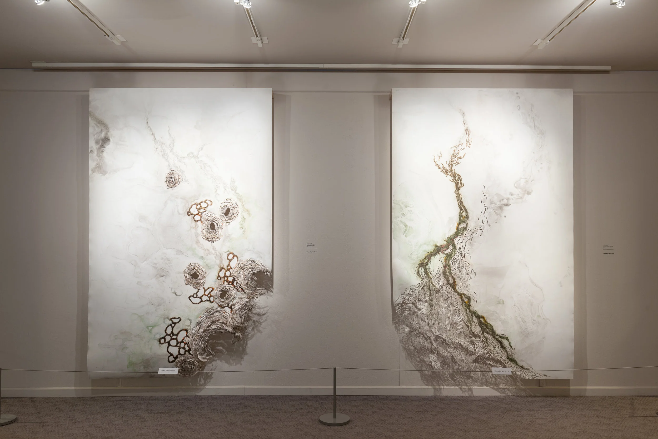 Naomi Scheck: Jeffco Alumni Exhibition