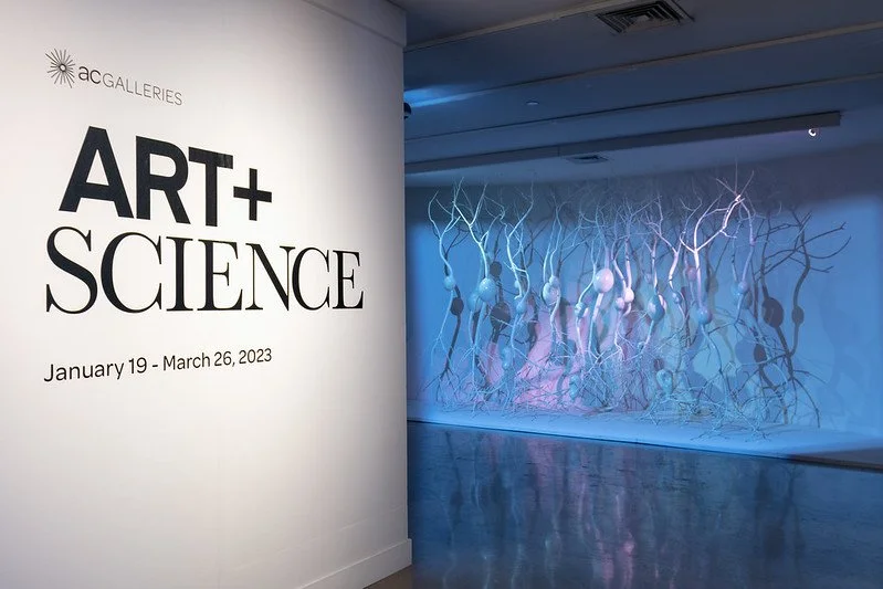 Art + Science  