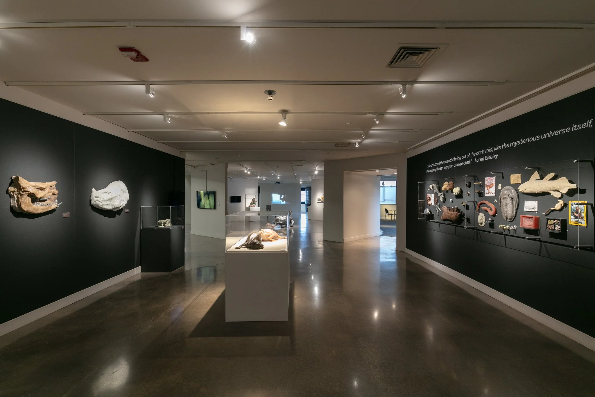 Gary Staab: Second Nature
