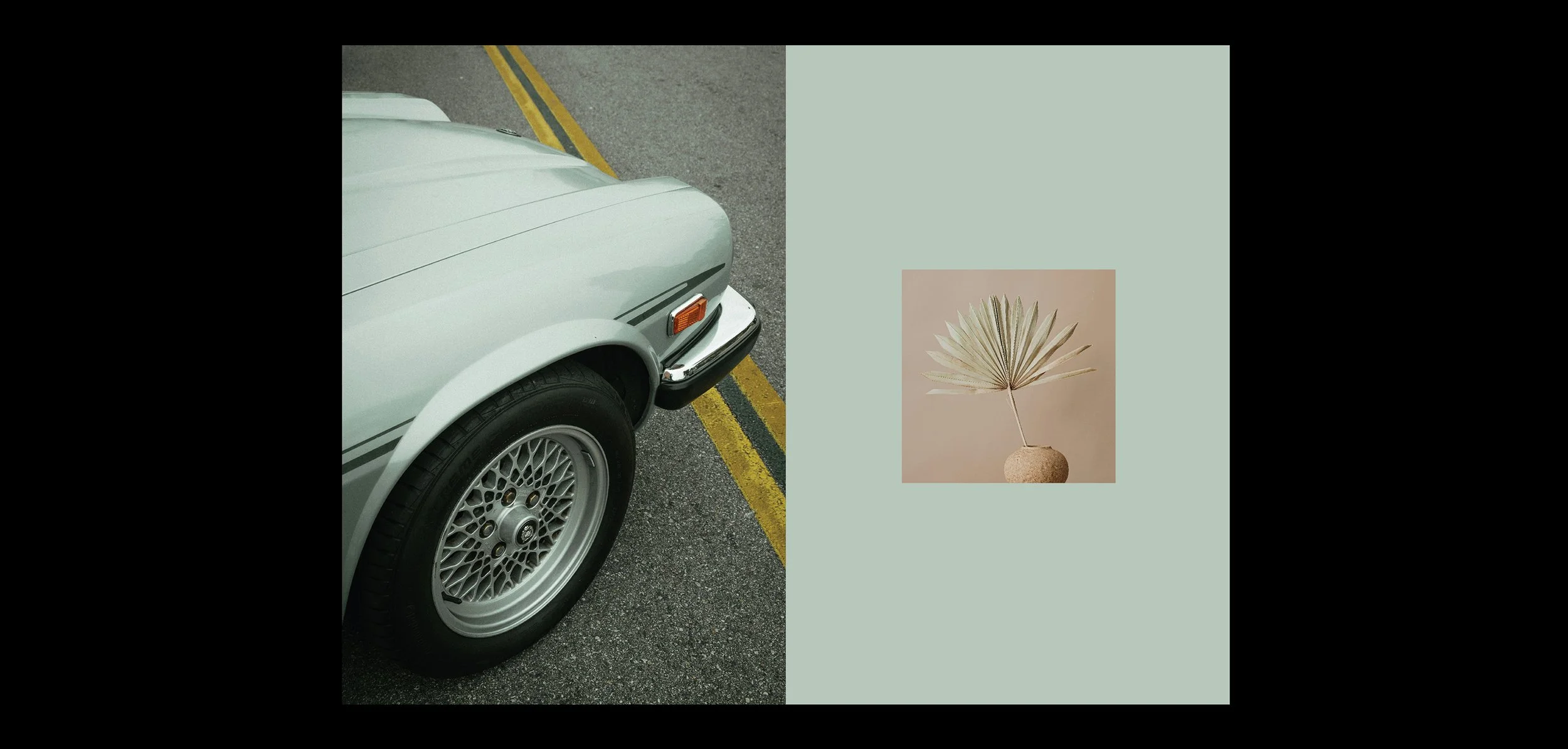 Palma_Comps-02.jpg