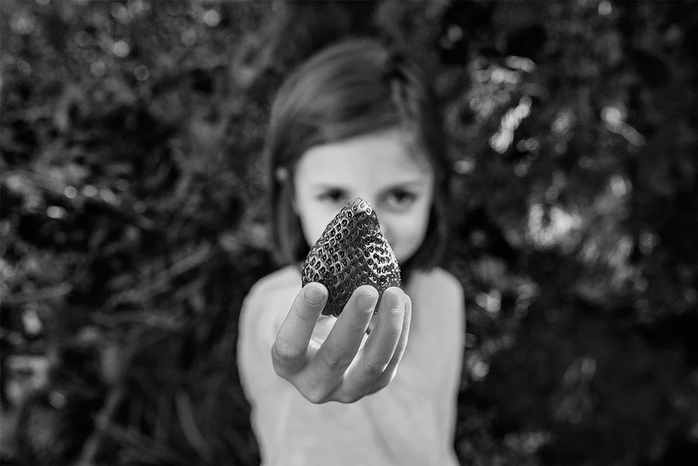 Untitled 30 from Watermelons Are Not Strawberries, 2016