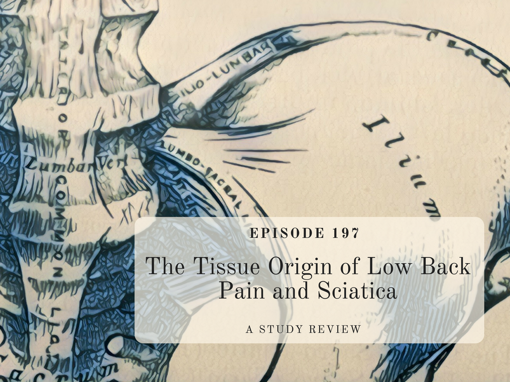 The Tissue Origin of Low Back Pain and Sciatica.png