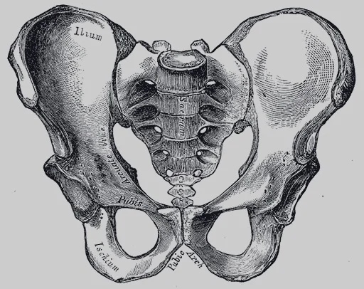 Episode 278 - Stephanie Lowery, part 1: Active Care for Pelvic Pain