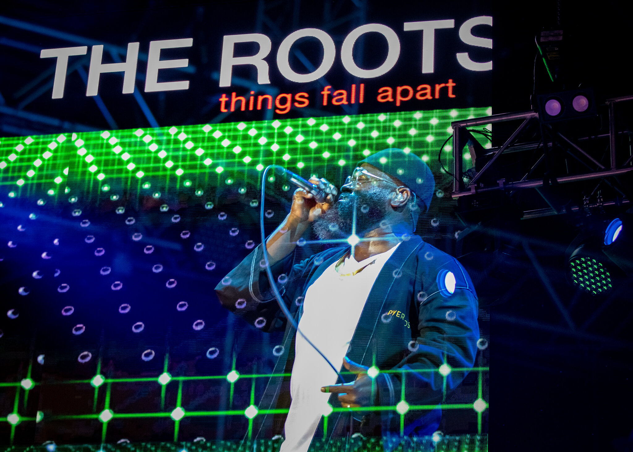 RootsPicnic2019_TheRoots_AJKinney_- (7).jpg