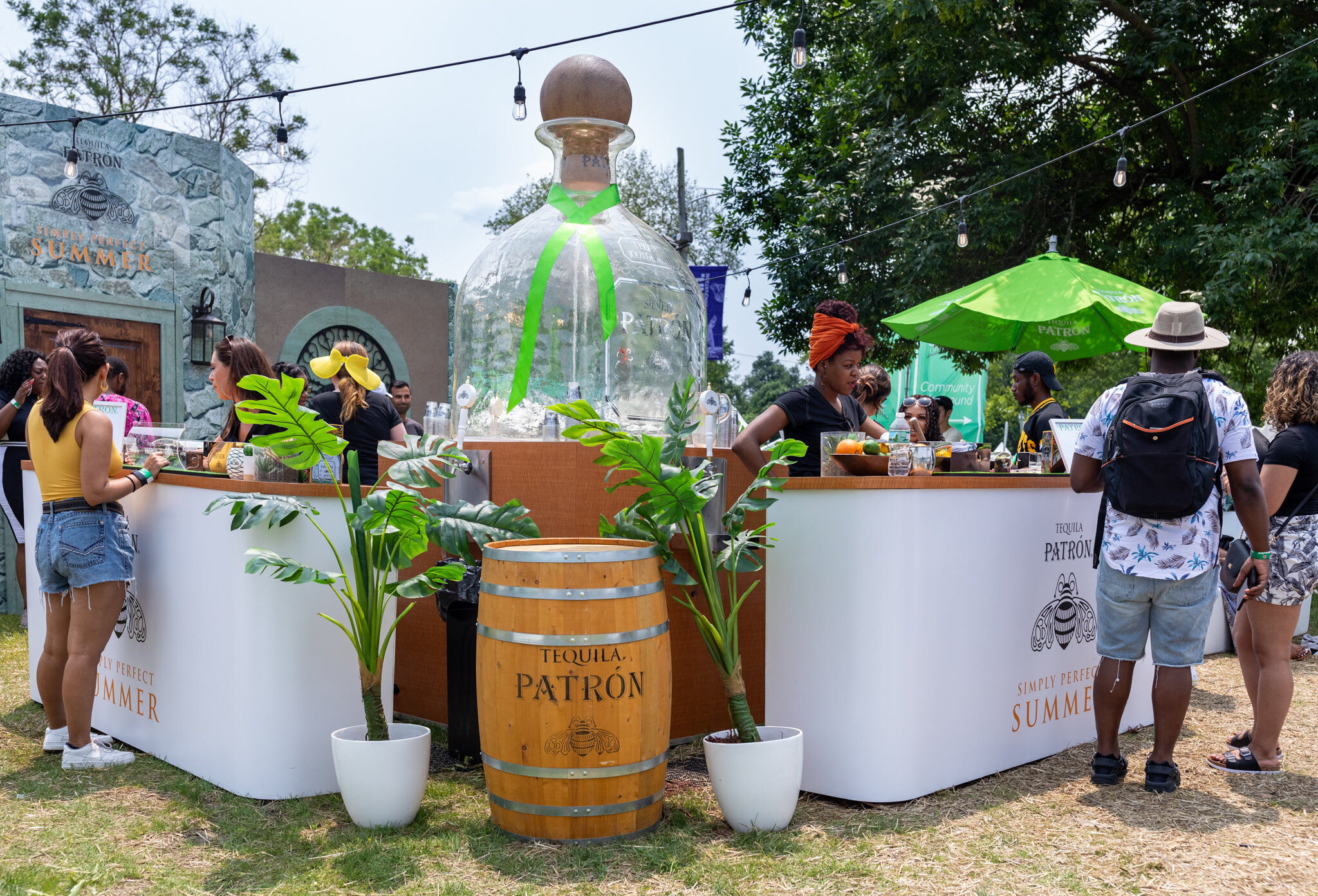 RootsPicnic2019_PatronTequilla_AJKinney_- (1).jpg