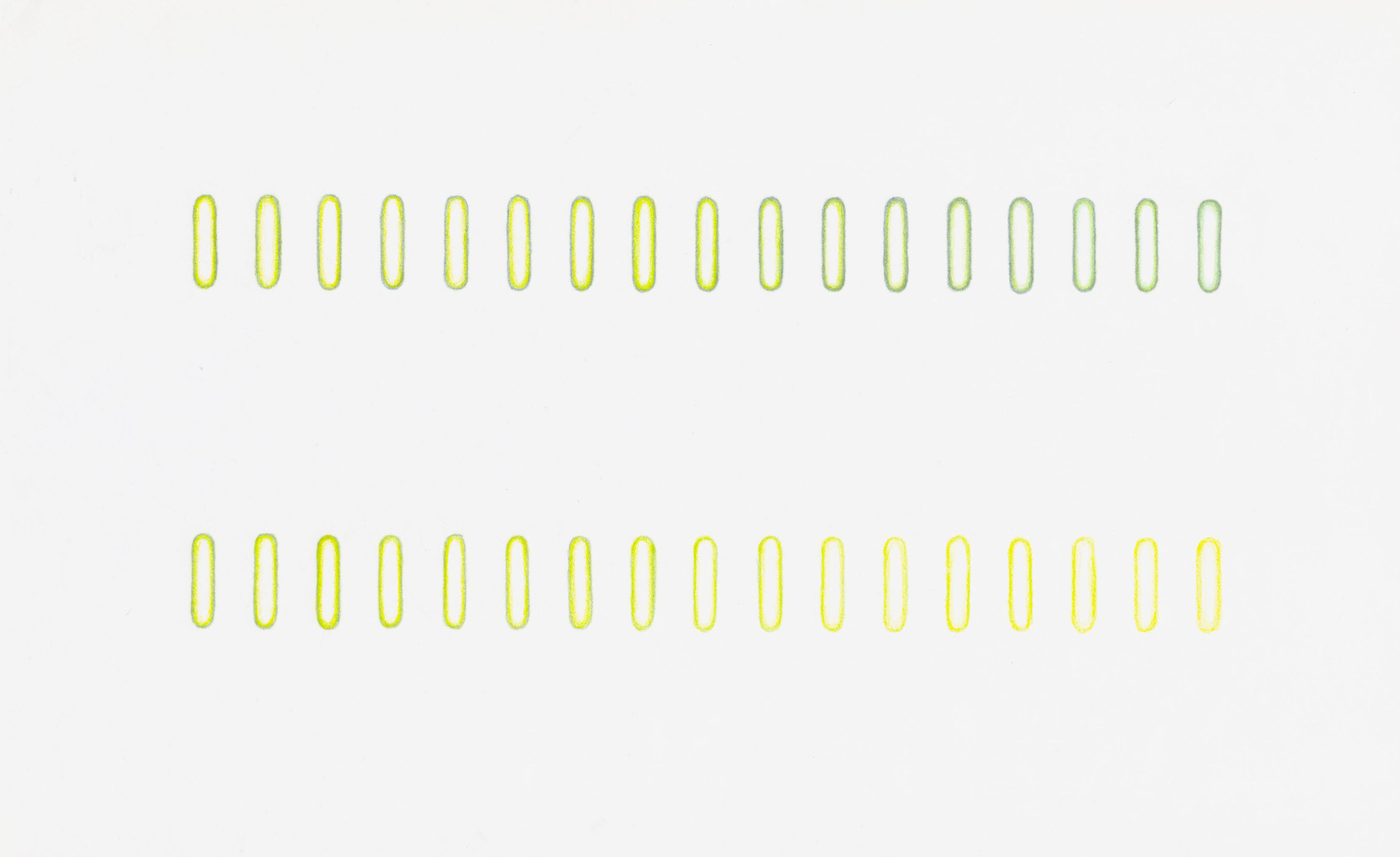 CapsulGreenYellow2lines.jpg