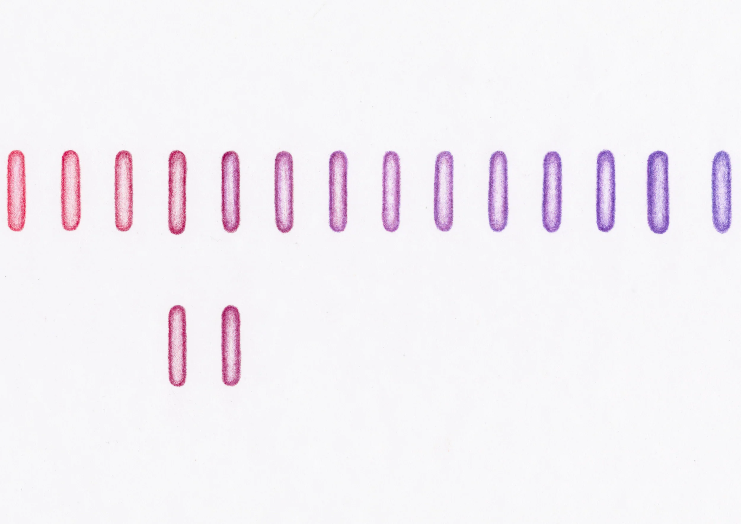 CapsulPurpleRed1lineC.jpg