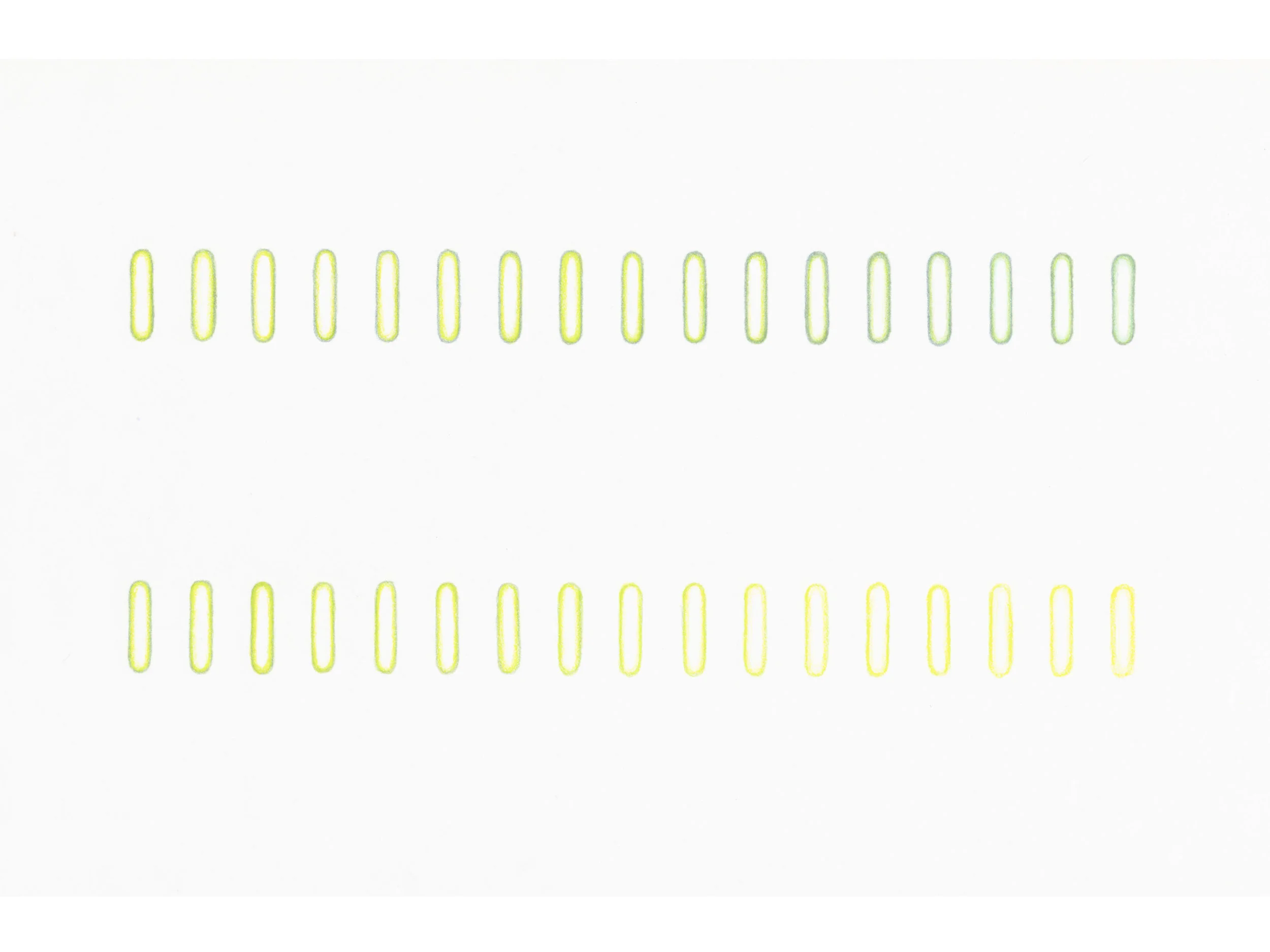CapsulGreenYellow2linesGal.jpg