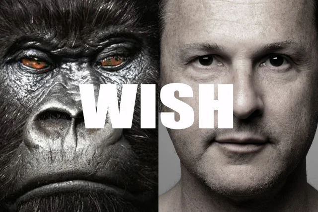 Wish
