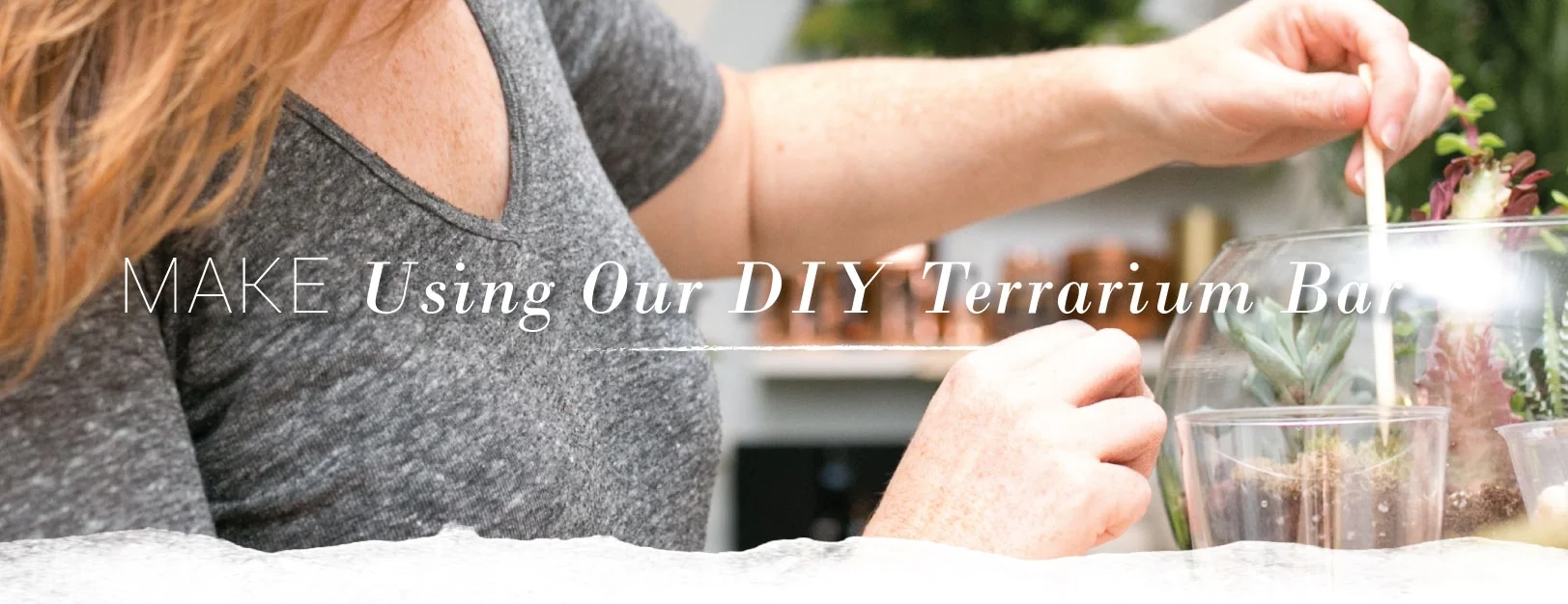 DIY-Terrarium-Bar-Header.jpg