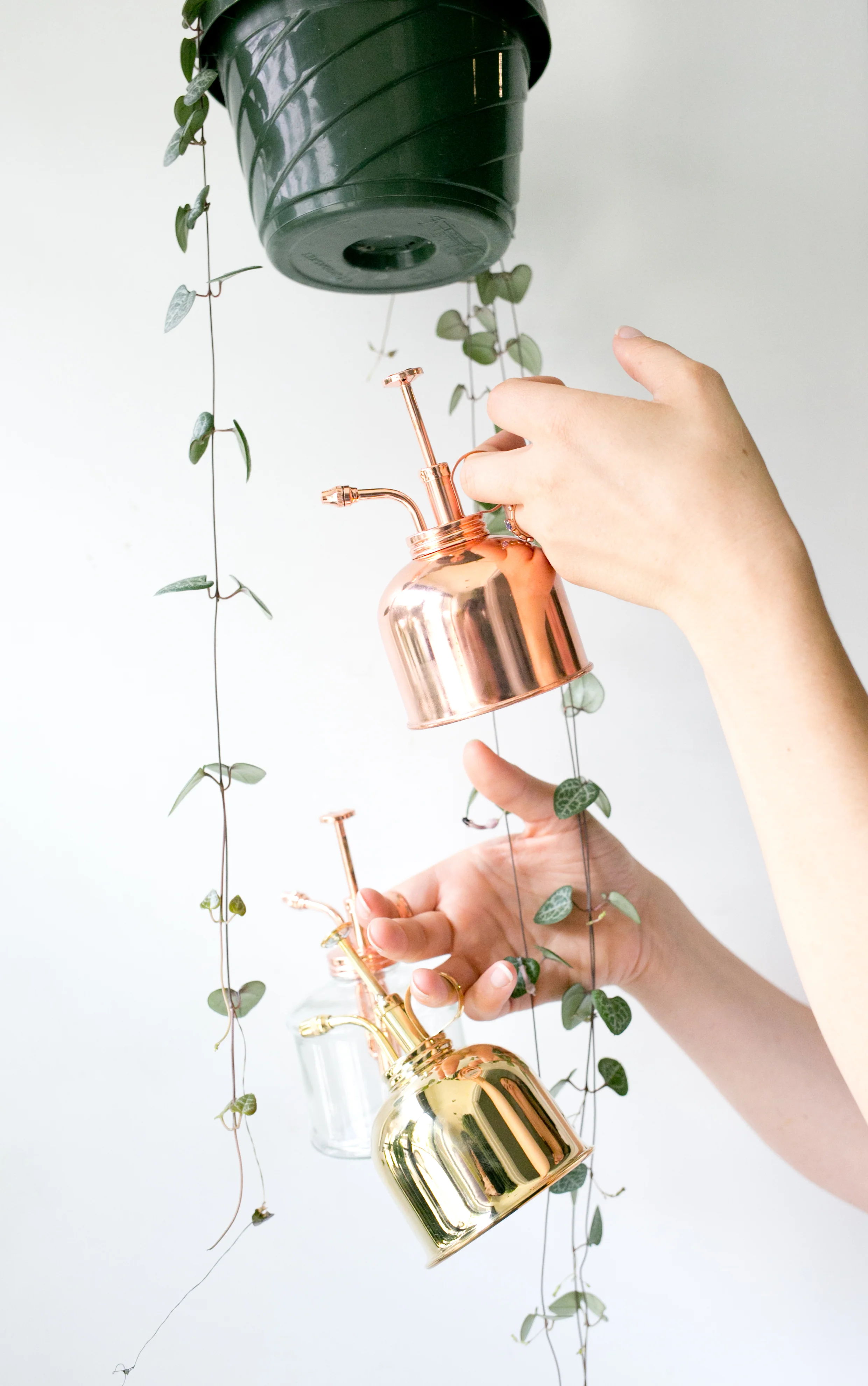 Most houseplants appreciate a good misting every now and again. We have several different types of misters to choose from in stock.