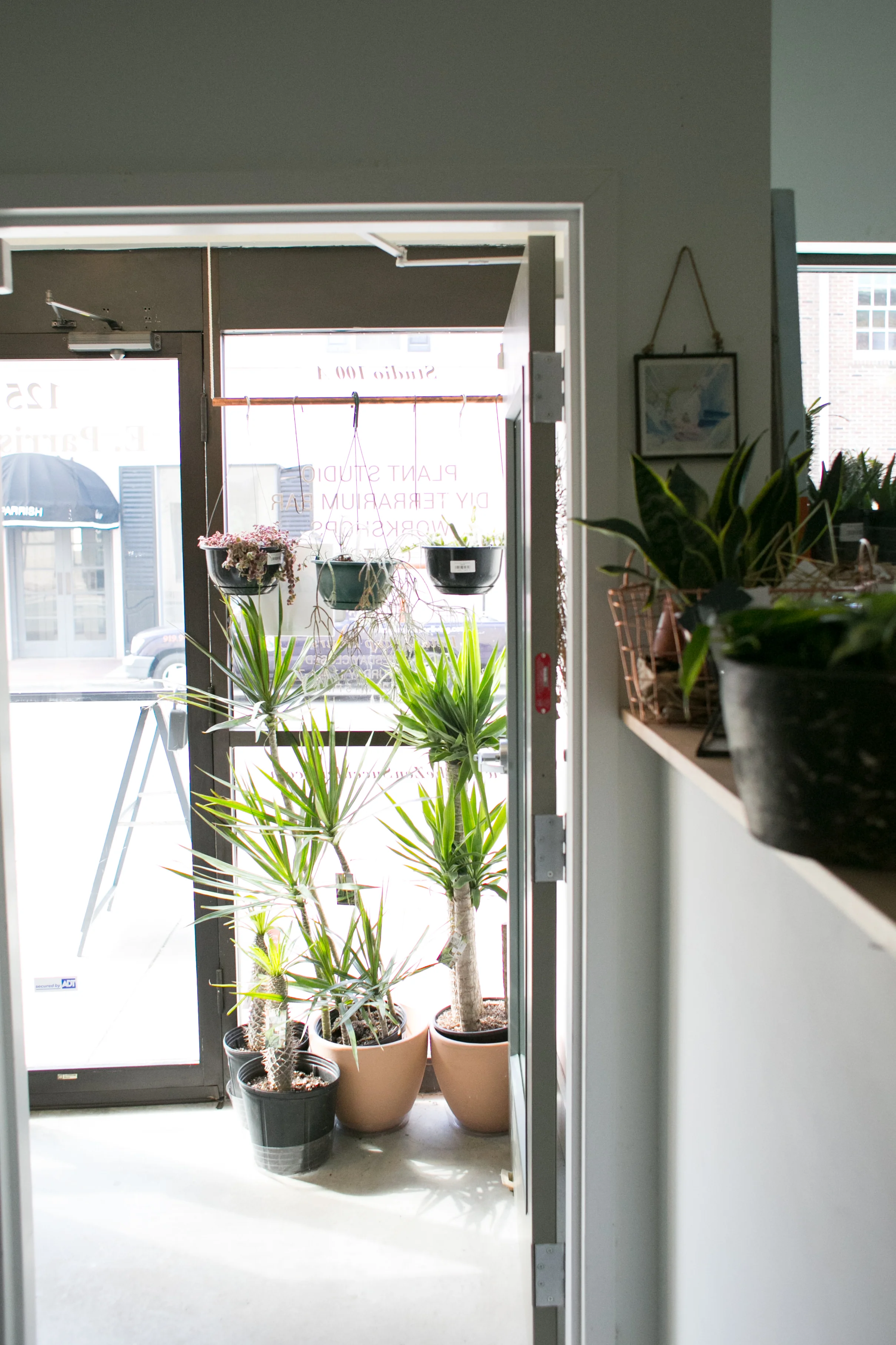 Waiting to be let outside for summer. Real subtle, guys.