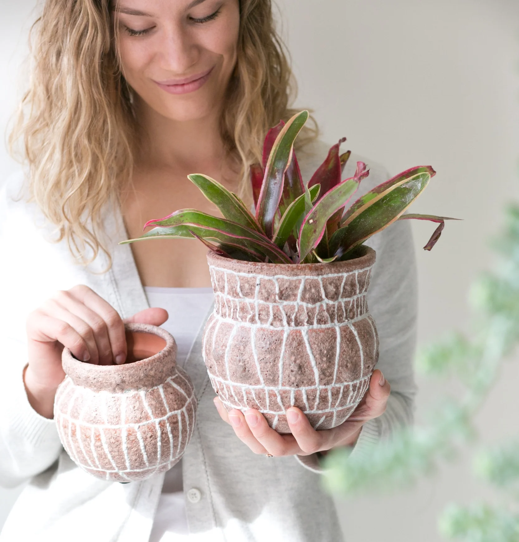 Continue reading to learn how to make your very own plant babies.