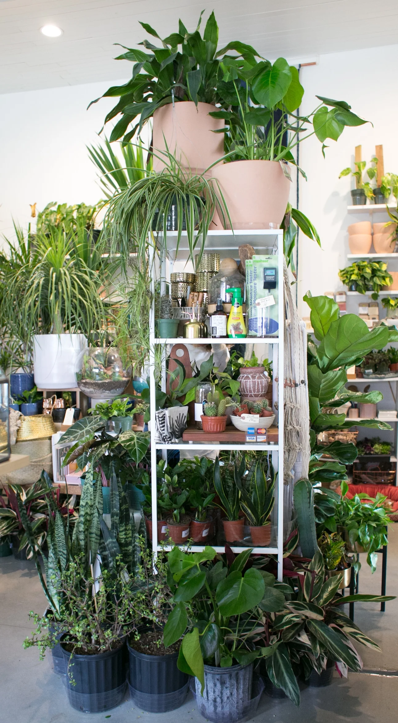 Ever wonder how we keep our stock green and glowing? Keep reading!