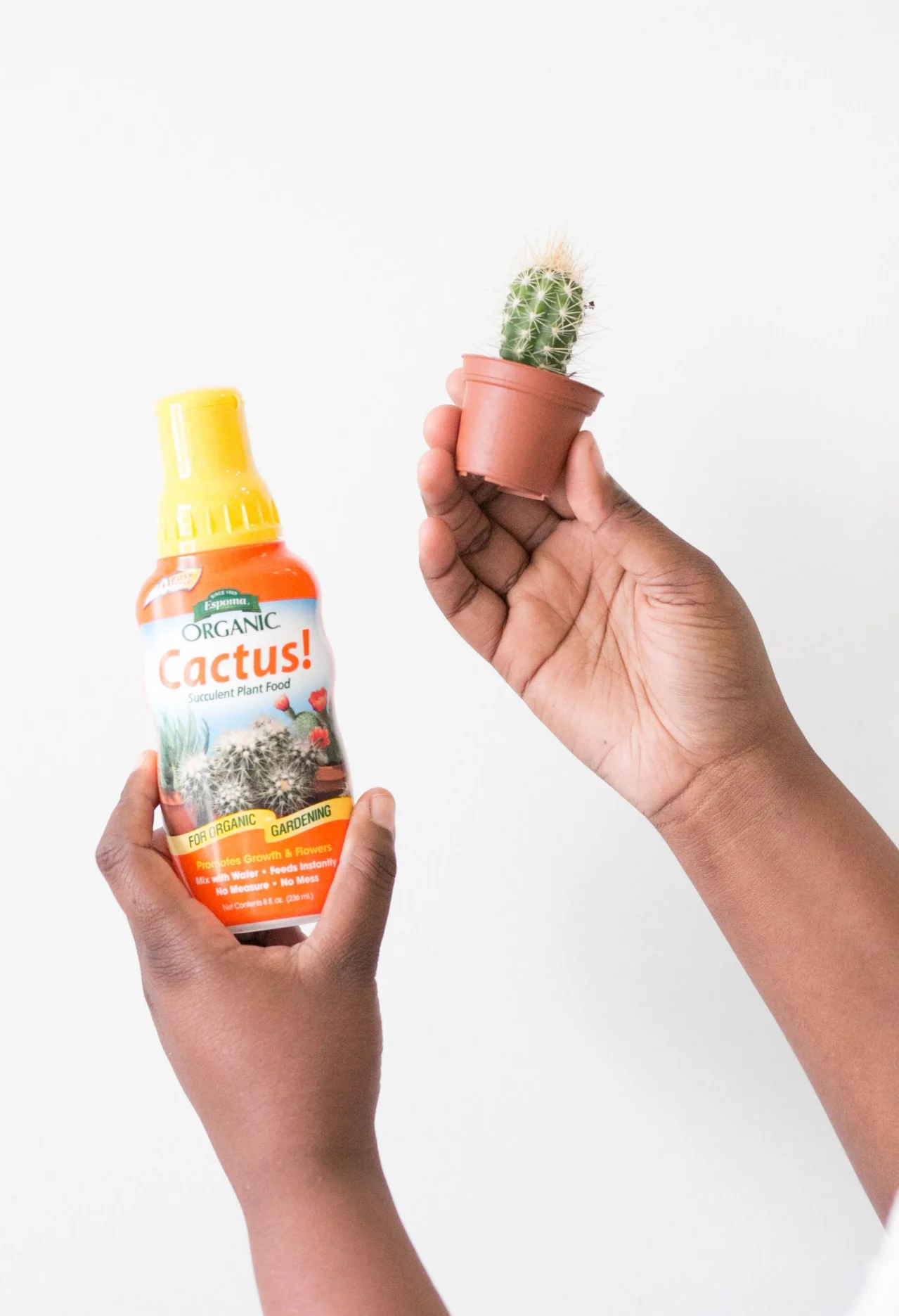 We like liquid organic cactus food for fertilizing our succulents and cacti.