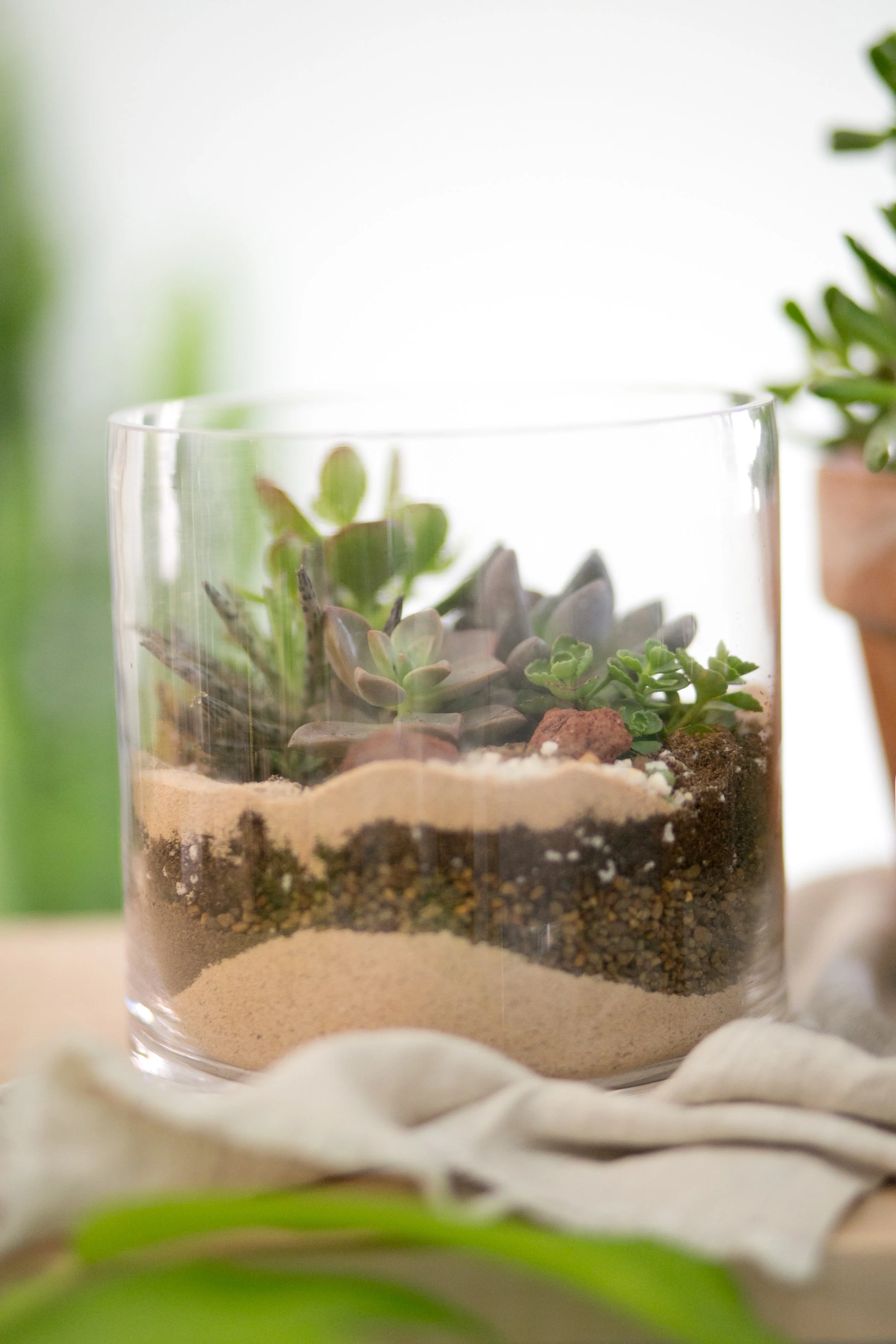 Layering with different types of media, such as soil, sand and rock, help keep your succulents from sitting in water, even in a pot or vase without holes.
