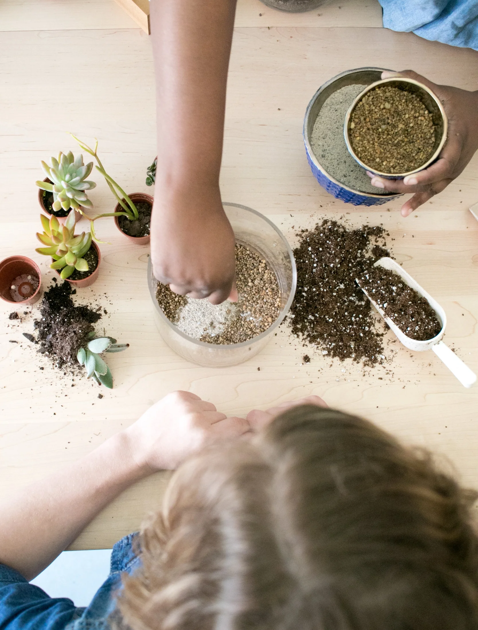 The ZEN Succulent Raleigh will feature an expanded DIY Terrarium Bar , with more seating and room to get messy.