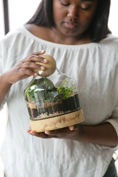 Terrariums are a great way to create a miniature rainforest. Stop by our DIY Terrarium Ba r and make one for yourself and a friend.