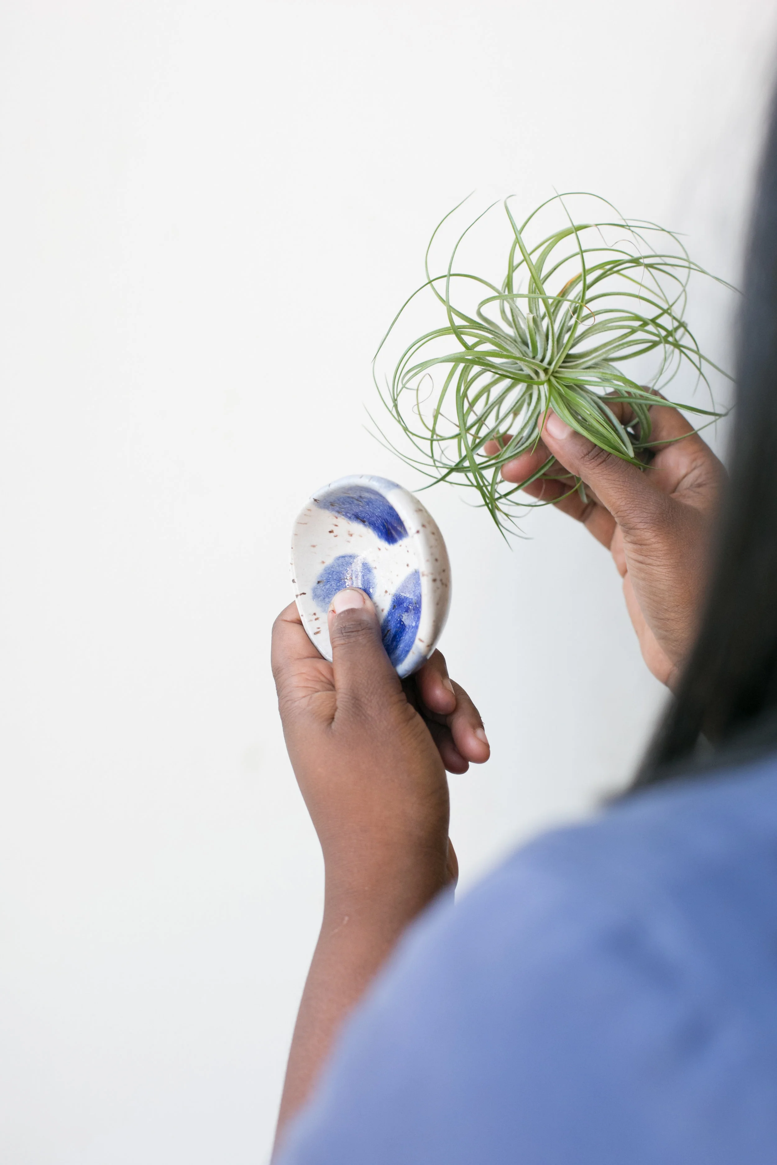 The_ZEN_Succulent_TheMoreYouGrowAirplants.jpg