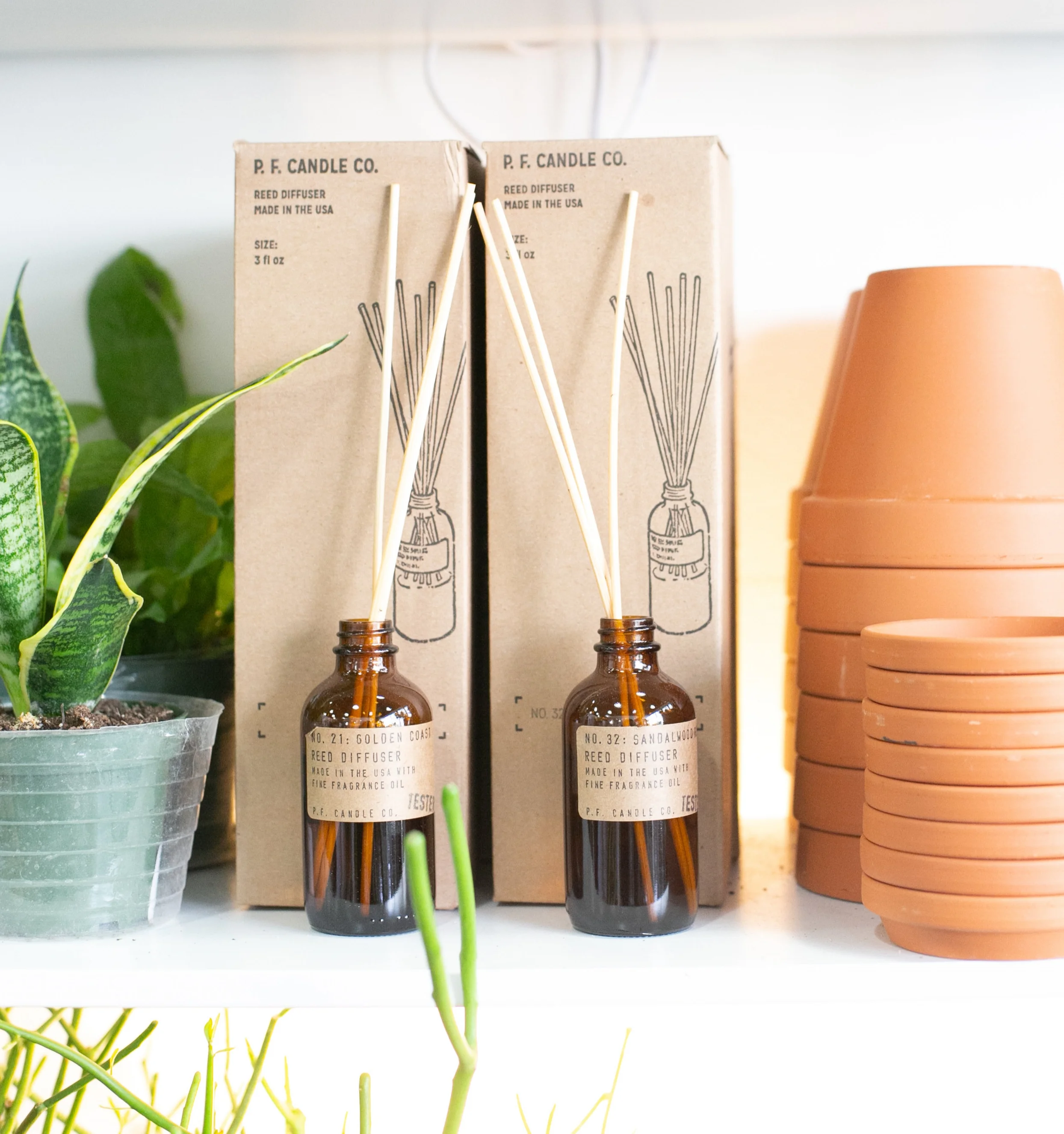 The_ZEN_Succulent_HolidayGiftstoGivefortheNonPlantPerson.jpg