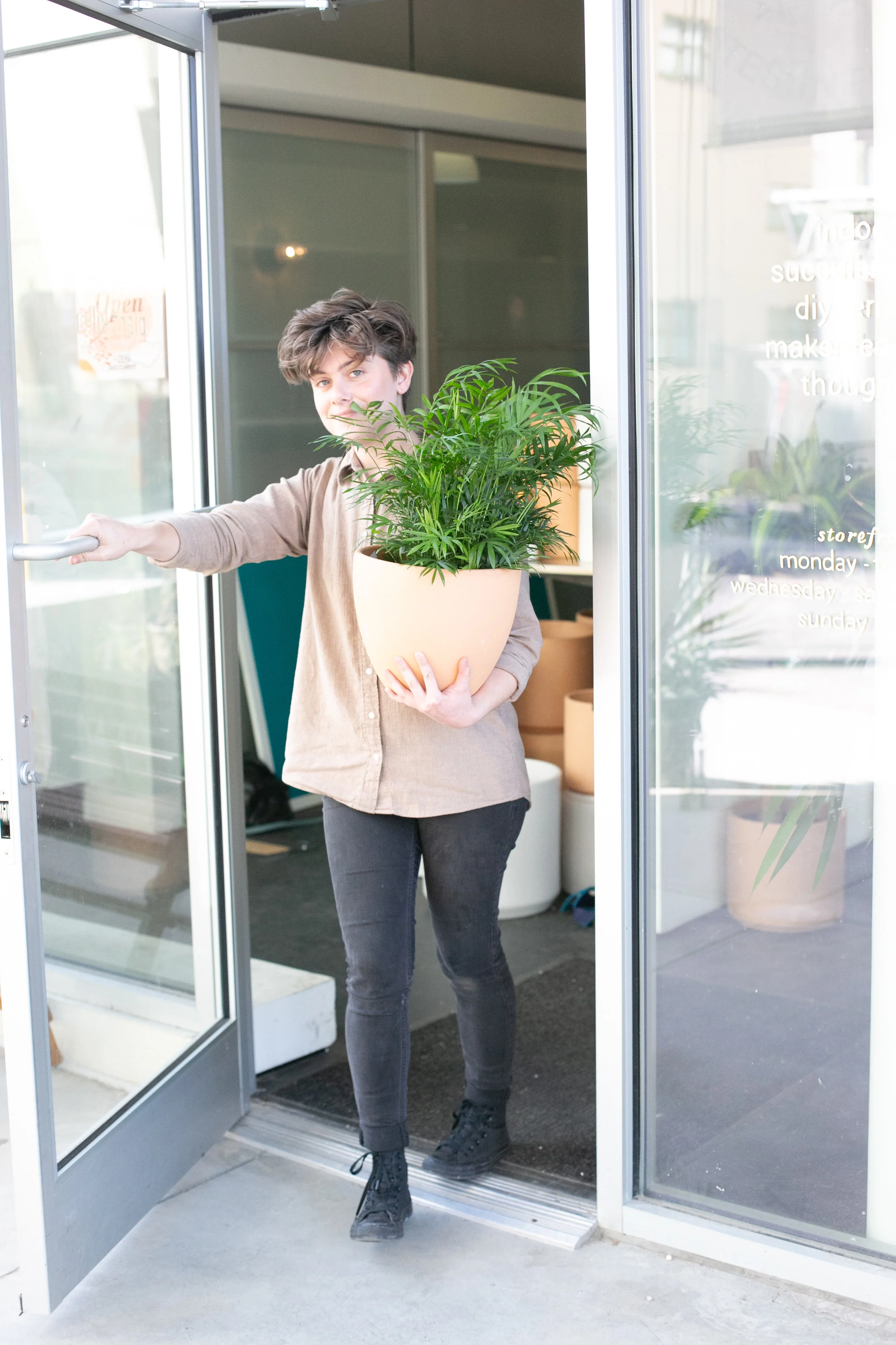 Where possible, quarantine plants affected with whitefly outside, away from your other houseplants.